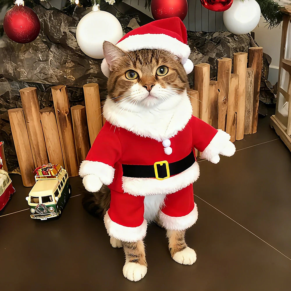 Outfit Noël pour chat édition Festive ™️